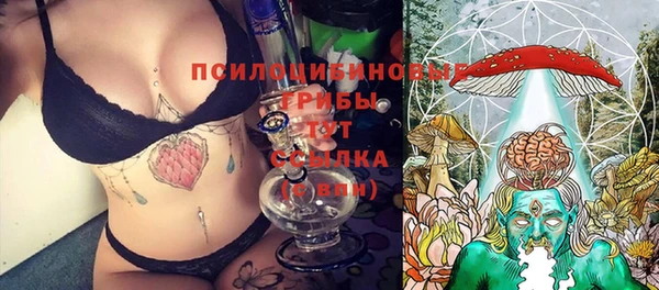 амф Грязовец