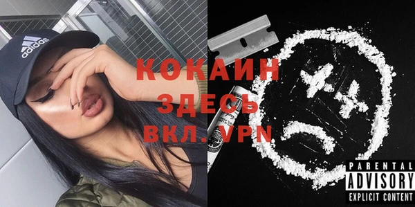 ECSTASY Грязи